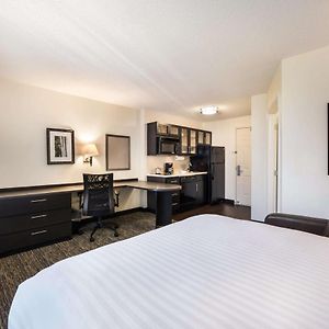 Studio Queen Suite
